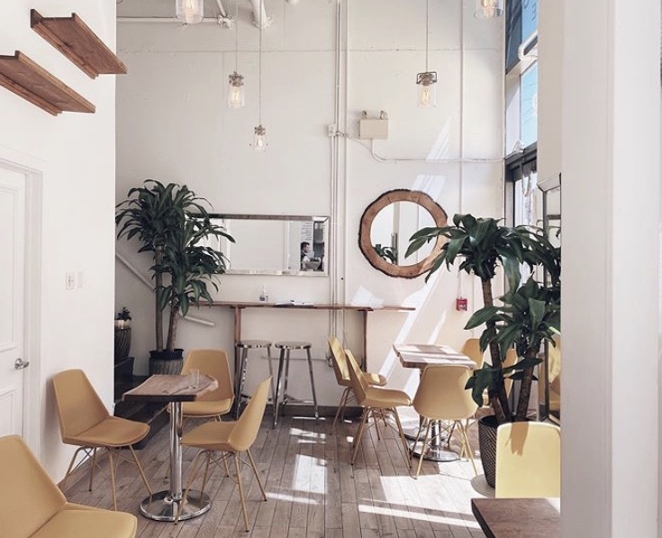 @versuscoffee
